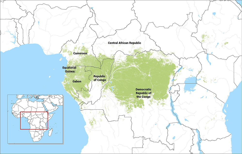 Congo basin